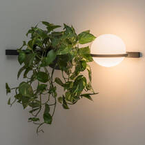 Настенный светильник Vibia Palma 370218/1B col.Graphite 2700K,1-10V, фото №1