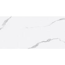 Плитка Primavera Calacatta Vera 6N0051 білий 30х60 см, фото №1