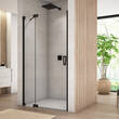 Душевые двери SanSwiss Cadura BlackLine CA13G1200607 120х200 см распашные левые, фото 1