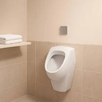 Пісуар підвісний Geberit Selnova 500.344.01.1, фото №1