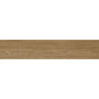Керамограніт Almera Ceramica (Spain) Noe Natural 23x120 см, фото 2