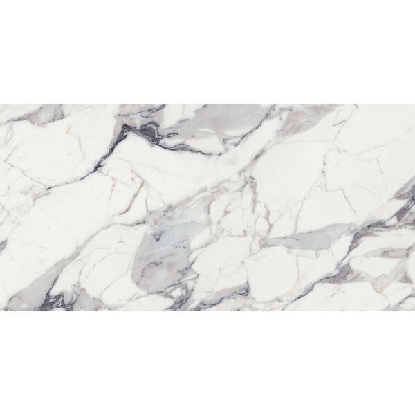 769859 ORIGINES DE REX ARGENT GLOSSY  RET — фото 2