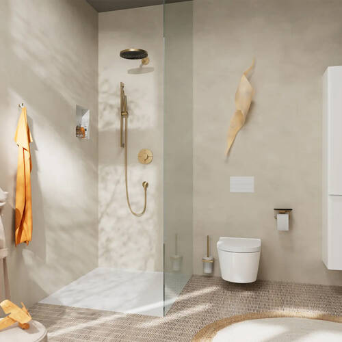 Тримач для туалетного паперу Hansgrohe AddStoris 41772140 з полицею ...