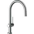 Змішувач для кухні Hansgrohe Talis M54 72804000, фото 1