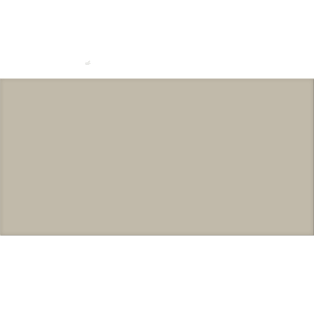 CHAMPAGNE MATT RECT 60X120 (1 сорт)
