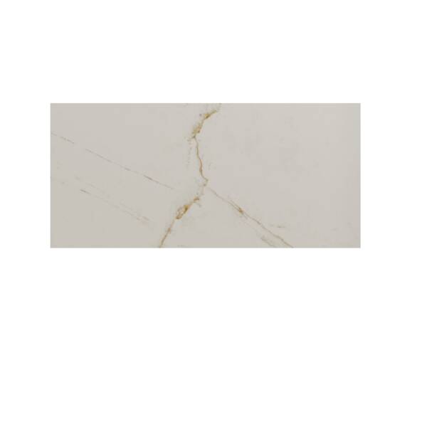 DUAL WHITE SP/33,3X100/R