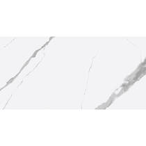 Керамогранит Primavera Calacatta Vera 6N0900 белый 60х120 см, фото №1