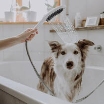 Ручний душ Hansgrohe DogShower 150 3jet 26640670 чорний матовий, фото №7