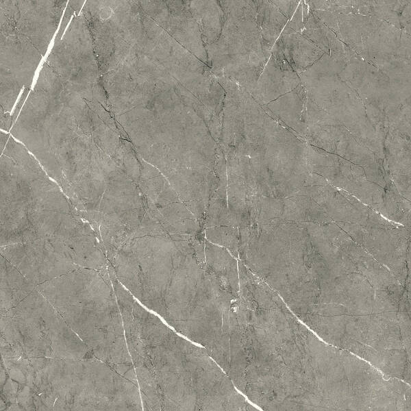 Керамограніт Ceramica Deseo Columbia Gris 9,5 R Pri 60х60 см, фото 1