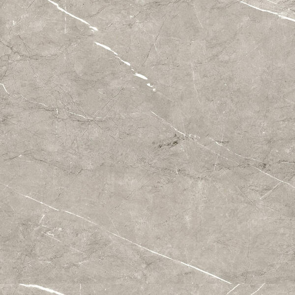 Керамограніт Ceramica Deseo Columbia Perla 9,5 R Pri 60х60 см, фото 1