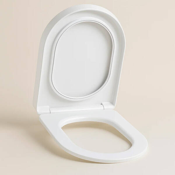 Кришка для унітаза RAK Ceramics Valet VALSC3901WH Soft Close, Quick Release, фото 1