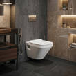 Унітаз підвісний Duravit Durastyle 2537590001 з покриттям WonderGliss, фото 1