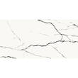 Керамограніт Opoczno Pl+ Eternal White Polished 59,8х119,8 см, фото 1
