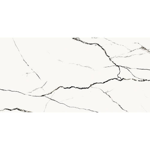 Керамограніт Opoczno Pl+ Eternal White Polished 59,8х119,8 см, фото 1