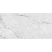 Керамогранит Almera Ceramica (Spain) Ec.Precious White 75х150 см, фото №1