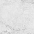Керамограніт Almera Ceramica (Spain) Ec.Precious White 90х90 см, фото 3