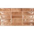 Плитка Ceramica Deseo Ec.Pool Cotto 31,6х60 см, фото 1