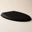 Кришка для унітазу RAK Ceramics Cloud CLOSC3901504 slim, Soft Close, Quick Release, чорний матовий, фото 1