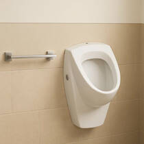 Пісуар підвісний Geberit Selnova 500.343.01.1, фото №1