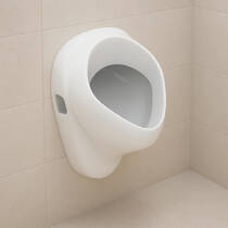 Пісуар підвісний Geberit Felix 502.895.00.1 білий глянець, фото №1