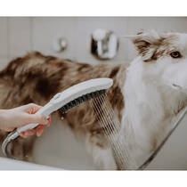 Ручний душ Hansgrohe DogShower 150 3jet 26640700 білий матовий, фото №5