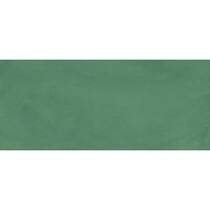 Керамограніт Pigmento Verde Salvia Silktech Rett 60x120 см, фото №1
