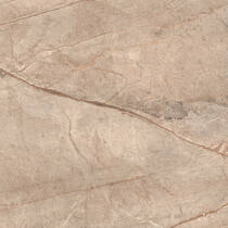 Керамограніт Almera Ceramica-2 Cv Fresh Brown 120x120 см, фото №3