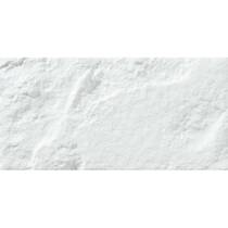 Керамогранит Almera Ceramica (Spain) Ec.Soldeu White 12,5x25 см, фото №1