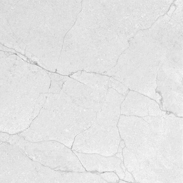 SEGESTA SILVER — фото 4