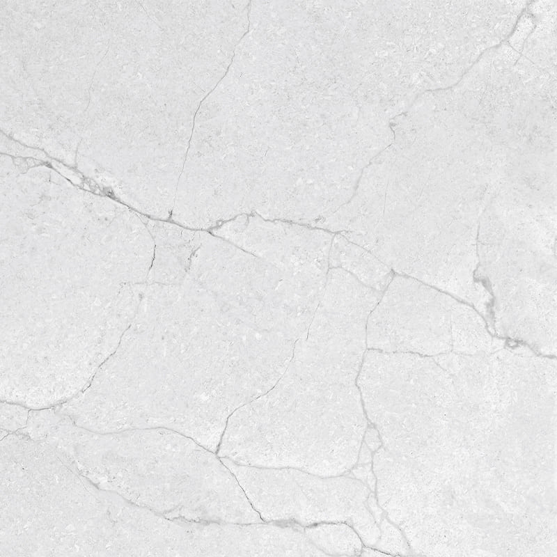 SEGESTA SILVER (1 сорт)