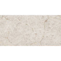 Керамограніт Almera Ceramica-2 Velour Closet 80х160 см, фото №4