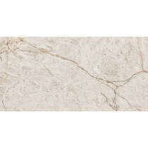 Керамограніт Almera Ceramica-2 Velour Closet 80х160 см, фото №3