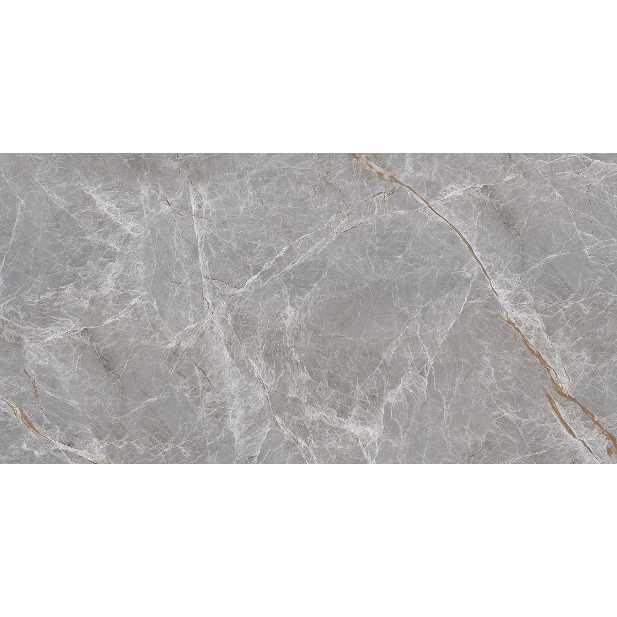 NAIRA GRIS (1 сорт)