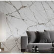 Керамограніт Cerrad Gres Ovation Light Grey Rect 119,7х119,7 см, фото 4