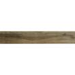 Керамограніт Ceramica Deseo My9512 Maple 15x90 см, фото 1