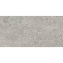 Керамограніт Cersanit Rialto Grey Matt 59,8x119,8 см