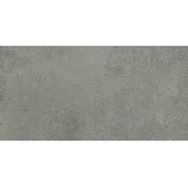 Керамограніт Cersanit Gptu 1202 Grey 59,8x119,8 см