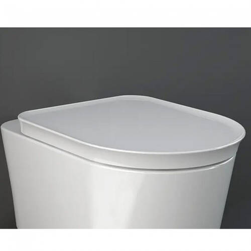 Крышка для унитаза RAK Ceramics Valet VALSC3901500 Soft Close, белая матовая, фото 2