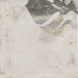 Плитка Mainzu Arrebato Tahiti White 20x20 cм, фото 3