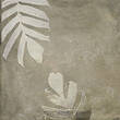Плитка Mainzu Arrebato Tahiti Natural 20x20 cм, фото 3