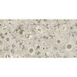 Плитка Argenta Kenzo Spring Ivory 60x120 см, фото 1