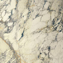 Керамогранит Delconca Marble Edition Breccia Capraia HME7 Rett Hard 120x120 см, фото №1
