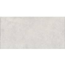 Плитка Opoczno Tamisa Light Grey Satin 29,7х60 см, фото №1