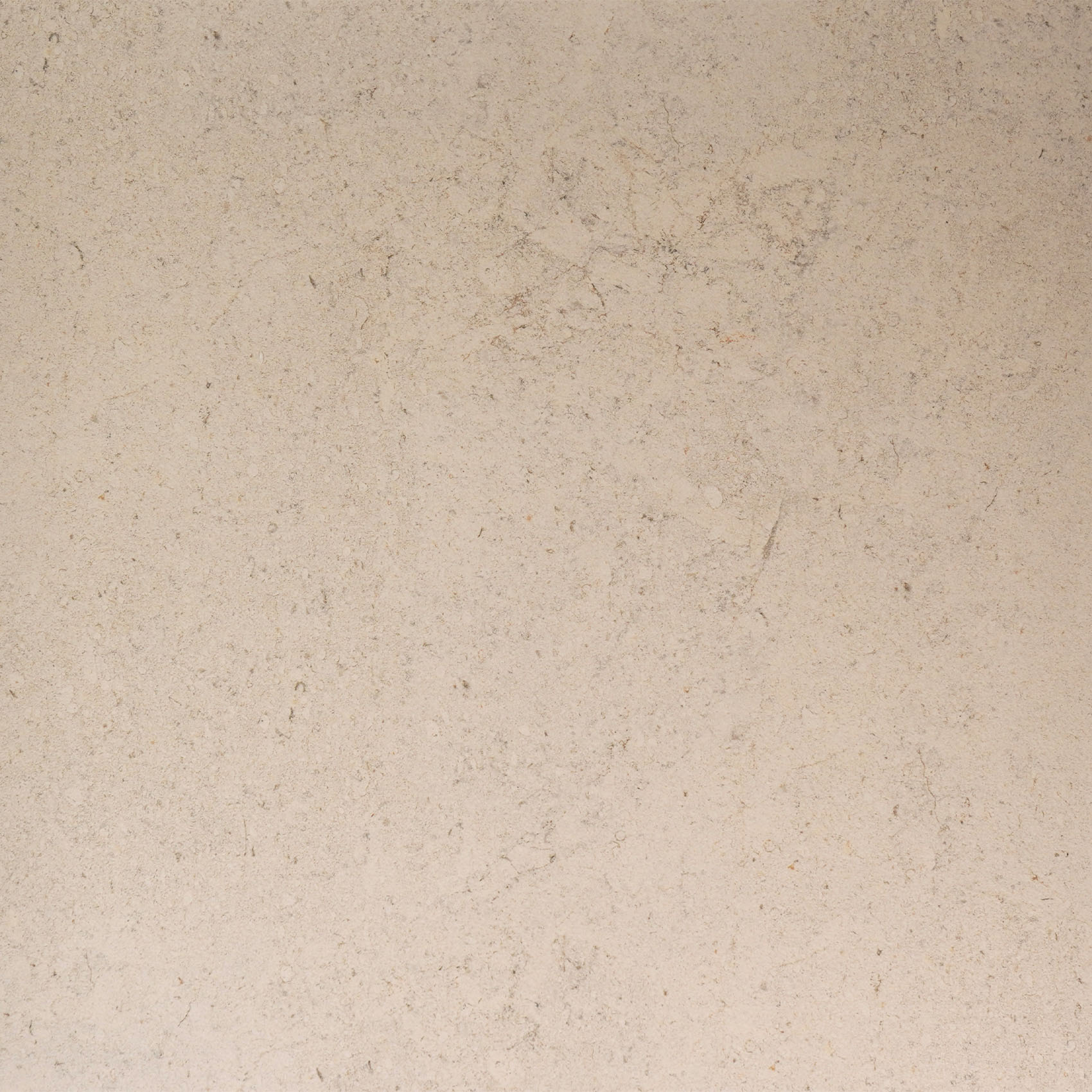 100348054 DORCIA BONE L 80X80(A) (1 сорт)