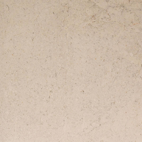 100348054 DORCIA BONE L 80X80(A) — фото 2