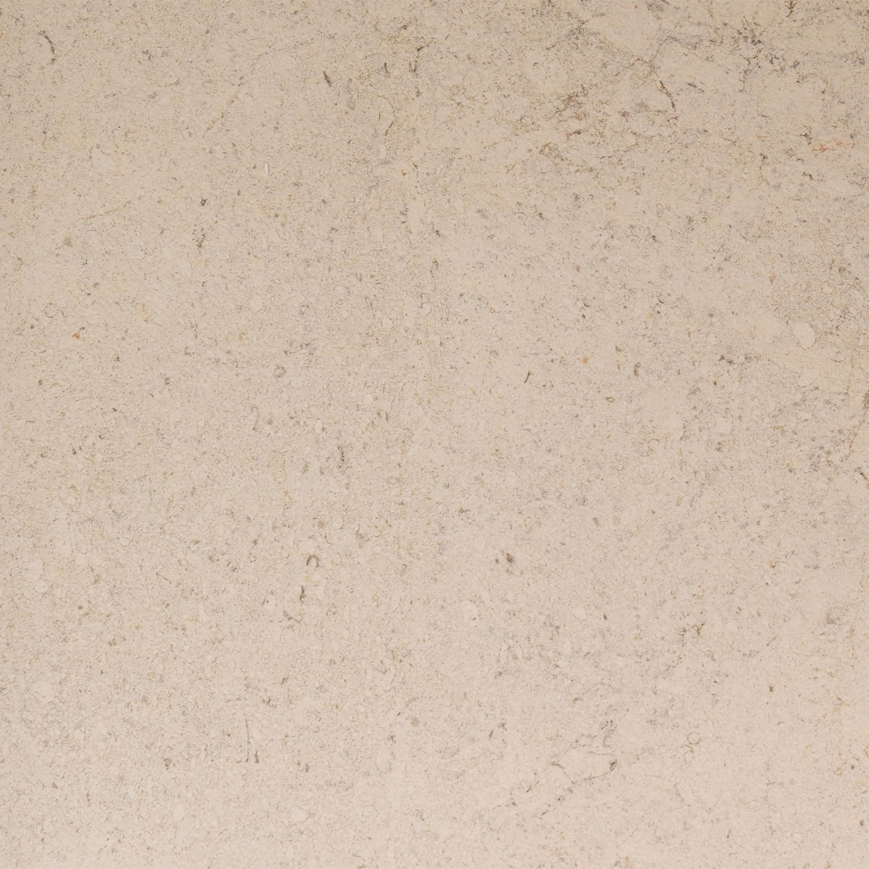 100348054 DORCIA BONE L 80X80(A) (1 сорт)