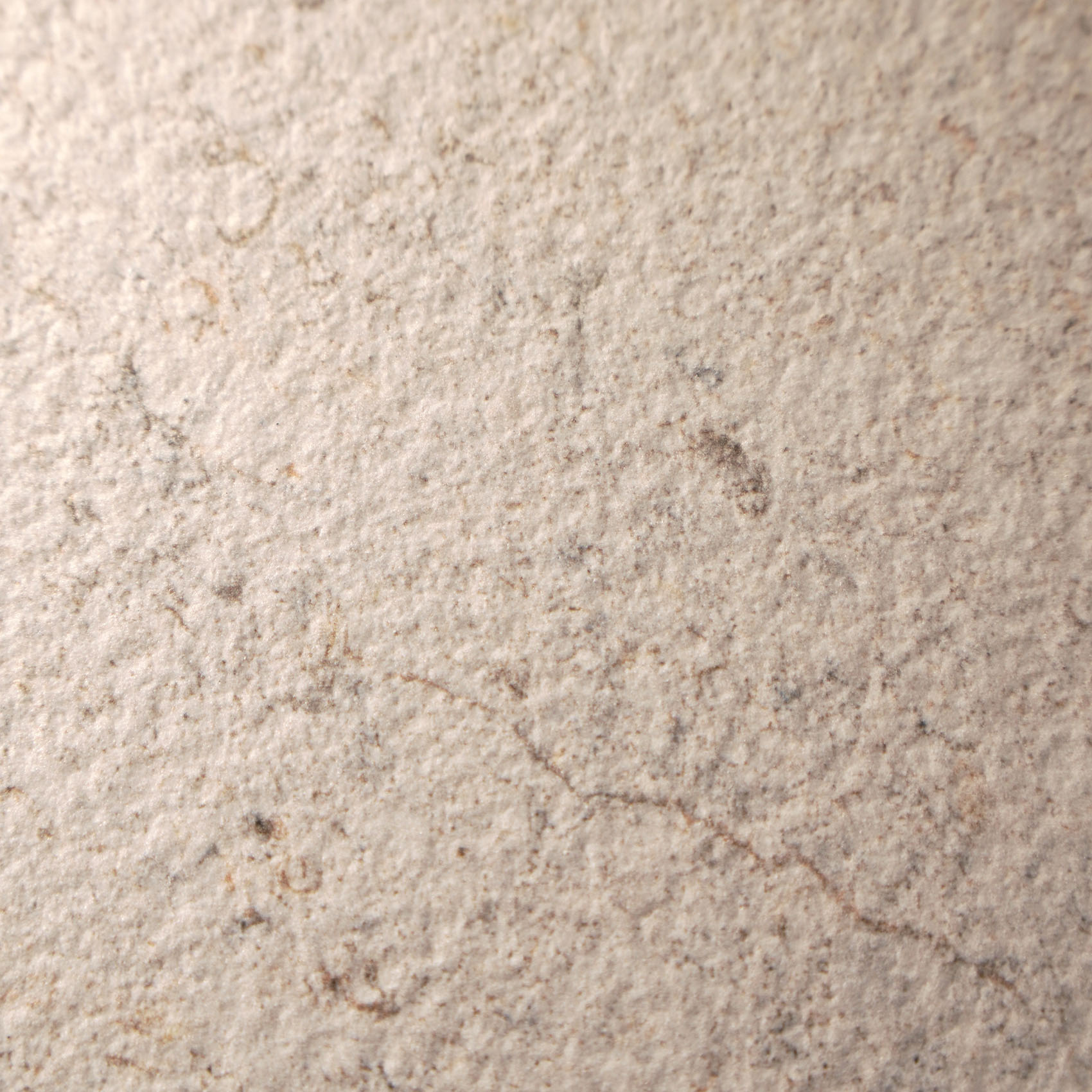 100348054 DORCIA BONE L 80X80(A) (1 сорт)
