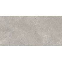 Керамограніт New Tiles Etna Gris In/Out 60x120 см, фото №1