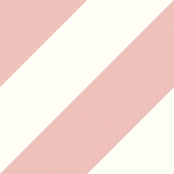 EC.ZEBRA PINK