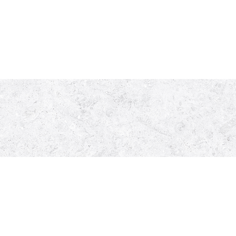 CORALSTONE CTN (1 сорт)